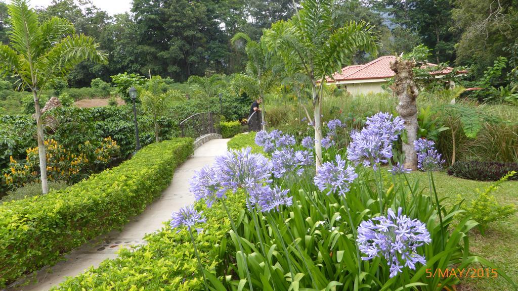 Hotel Boutique La Casona Del Cafetal Cachi Ngoại thất bức ảnh